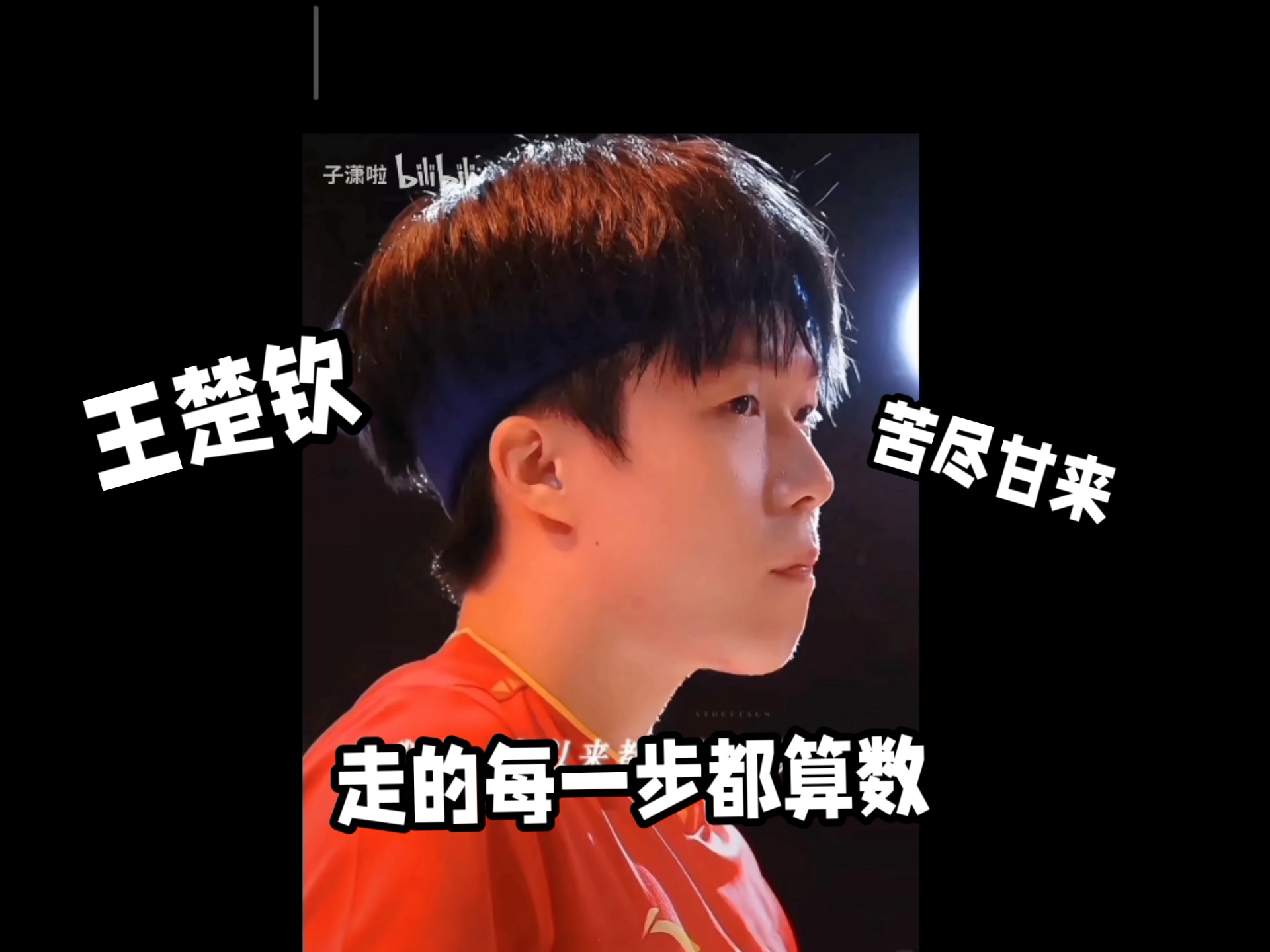 王楚钦：压力更多来自世人，苦尽甘来，你还行你做到了的简单介绍
